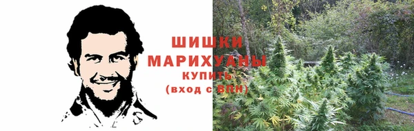 мет Арсеньев