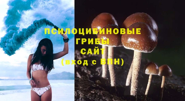 мет Арсеньев