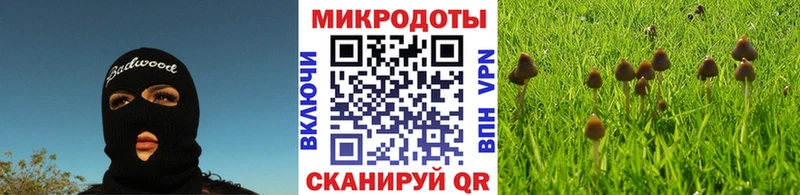 Галлюциногенные грибы Magic Shrooms  Шумиха 